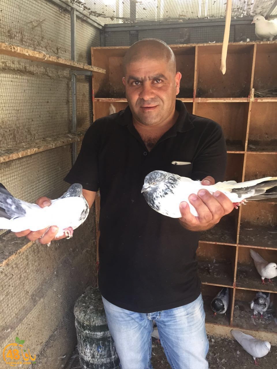 zohdy 3ashor (18).jpg